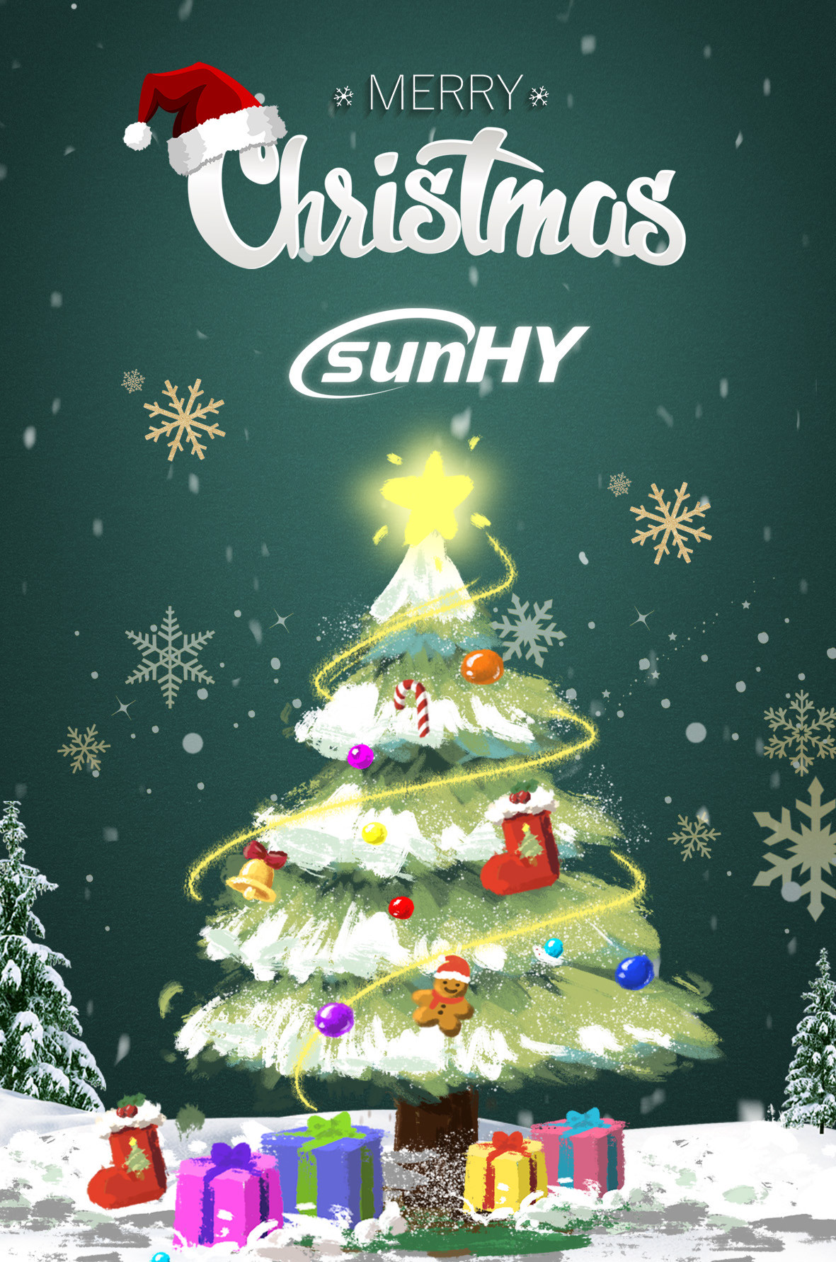 Latest company case about Merry Christmas 2024!