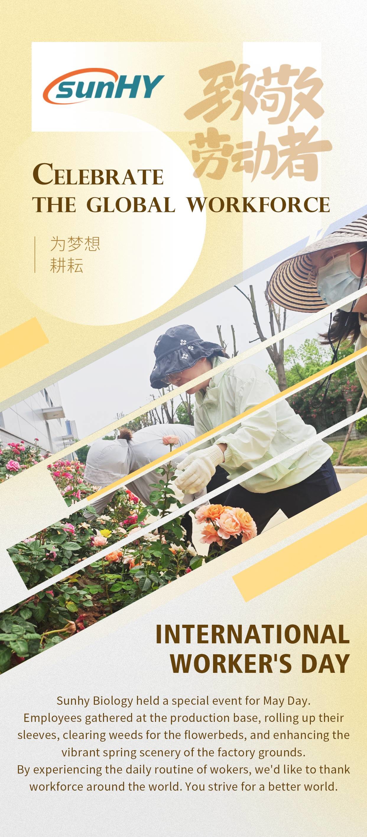 Latest company case about Happy International Worker's Day