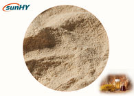 Powder Form Glucose Oxidase Enzyme Food Grade Enzymes For Bread Making