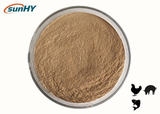 Sunhy Improve Gut Health Functional Feed Additives For farm animals