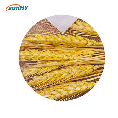 Powder Form Glucose Oxidase Enzyme Food Grade Enzymes For Bread Making