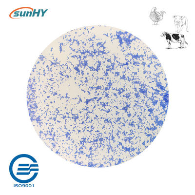 Fermentation Probiotics For Animal