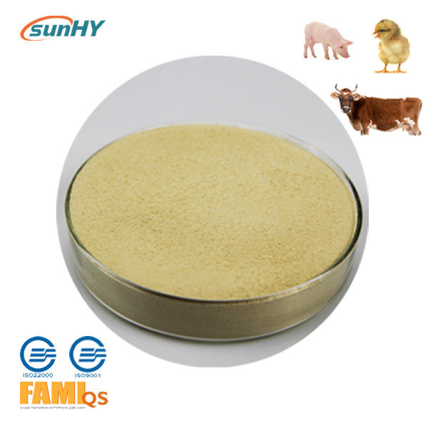 SunAmy Plus Ultrafine 10000u/g Powdered Amylase Enzyme Compound Amylase Enzyme