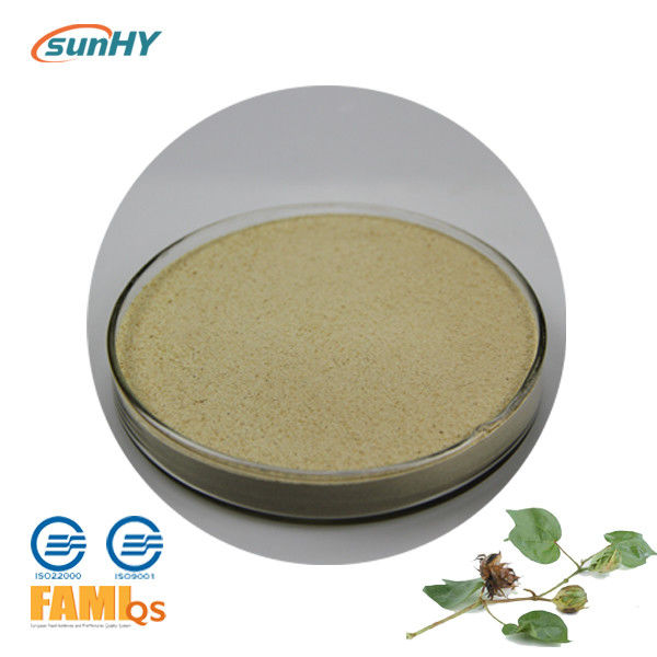 Corn Starch Carrier 5000u/G Cellulase Digestive Enzyme For Animal Feed